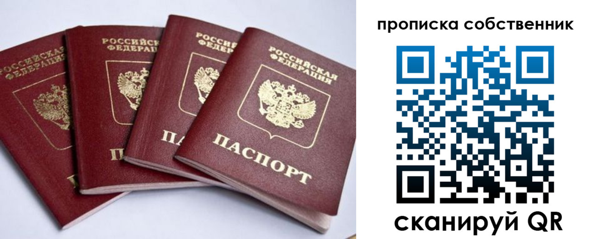 прописка для школы в Мурманске