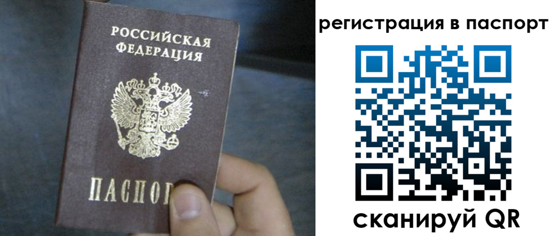 прописка 2025 в Мурманске